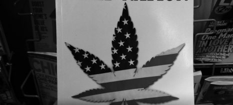 Marijuana Legalization Image